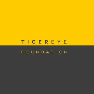 tigereye foundation